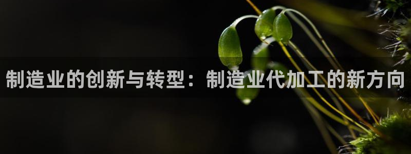 彩名堂最新计划下载地址