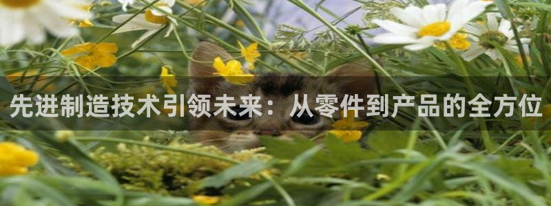 下载彩名堂预测计划软件安装