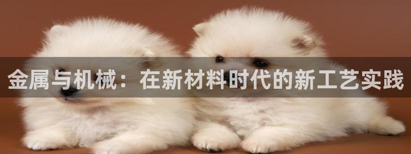 彩名堂免费计划亮点