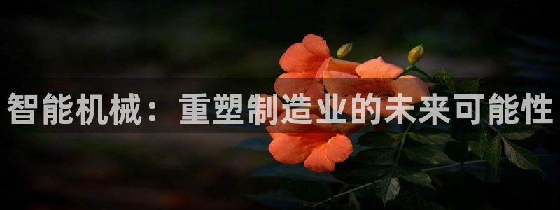 彩名堂使用方法和用量