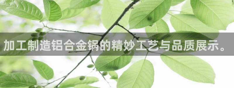 彩名堂免费计划官网购彩计划