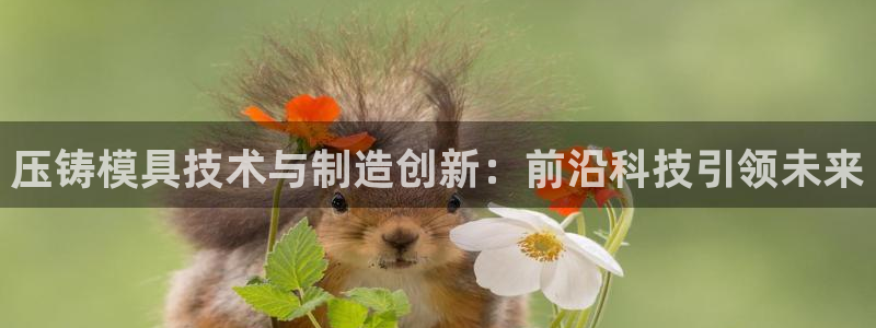 彩名堂预测免费计划怎么看的