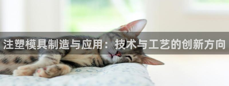 彩名堂免费计划官网5.0app