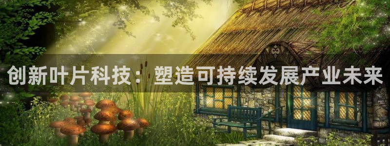 彩名堂合作655560