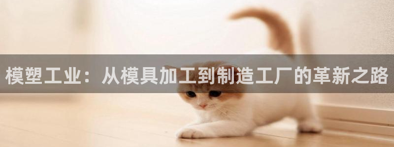 彩名堂开奖结果查询