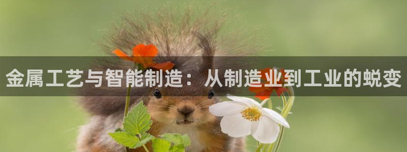 彩名堂一直不出结果怎么回事儿