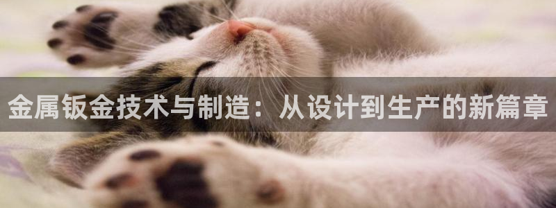 彩名堂怎么买准确率高