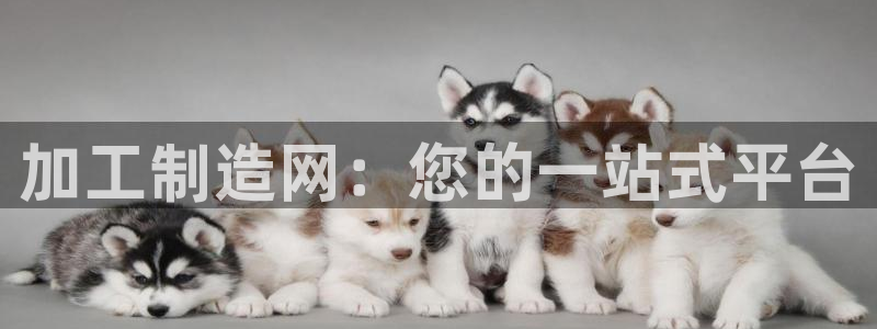 彩名堂开奖结果查询