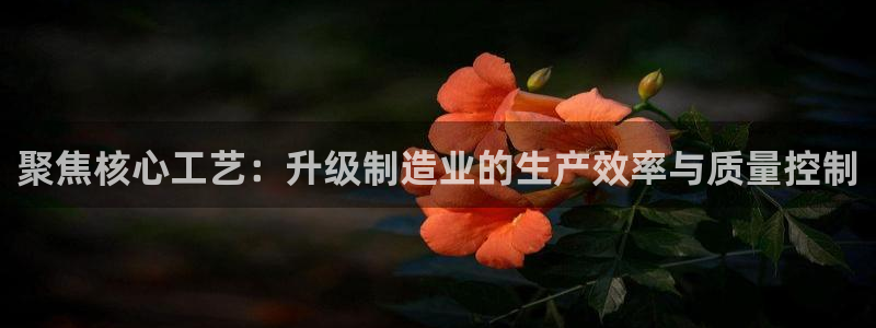 彩名堂官网2