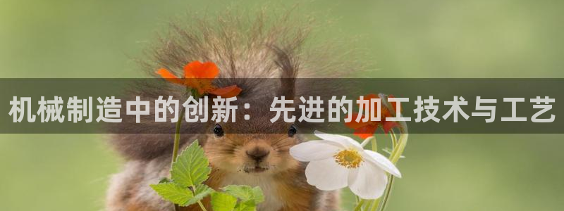 彩名堂最新计划app下载