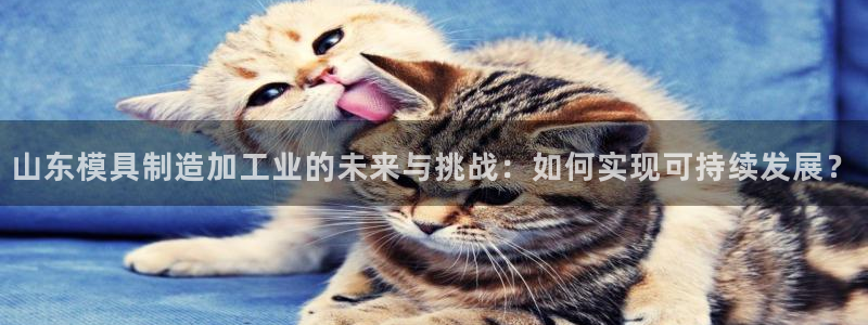 彩名堂官网计划怎么下载到手机