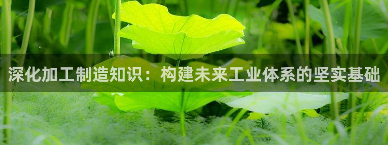 彩名堂客户端是永久免费吗是真的吗吗