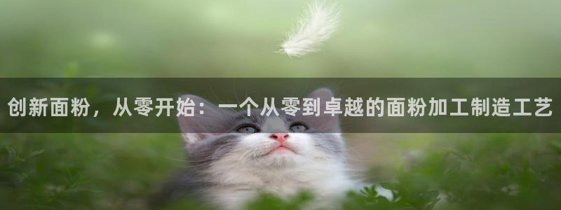 彩名堂免费计划官网50下载957