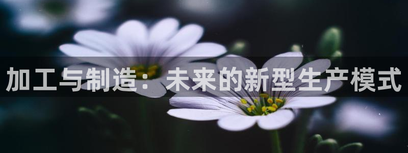 彩名堂怎么用不了了