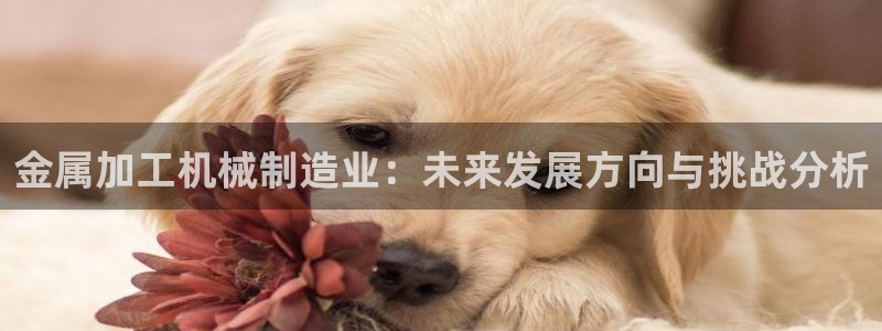 彩名堂客户