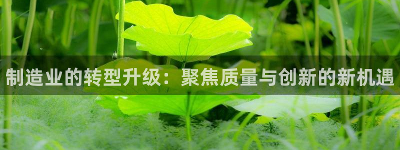 彩名堂5.0!
