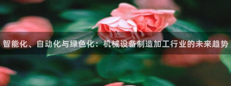 彩名堂为什么用不了了