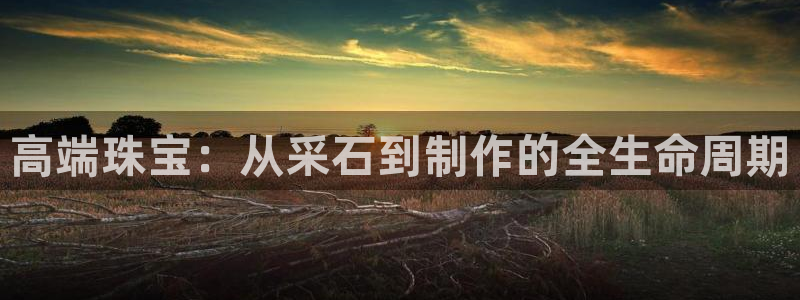 彩名堂最新版www