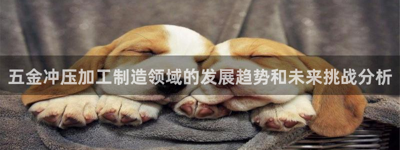 彩名堂客户端是永久免费吗是真的吗吗