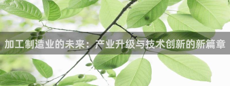 彩名堂怎么跟计划才不连挂呢