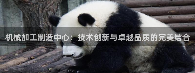 彩名堂3d