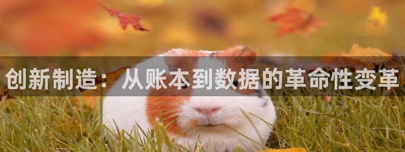 彩名堂官网网页计划