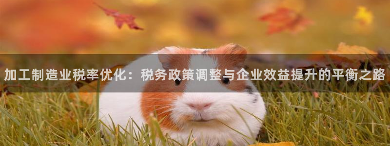 彩名堂开奖结果查询