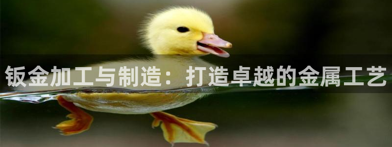 彩名堂app官方网