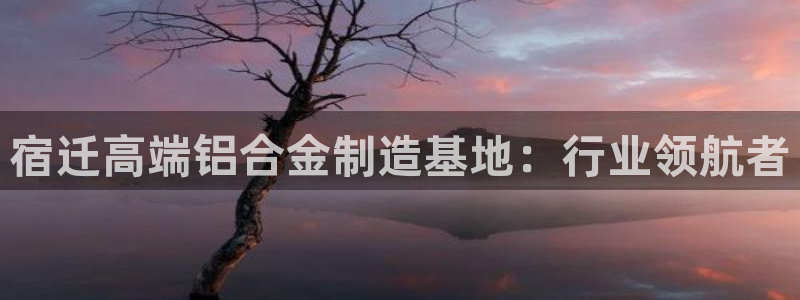 彩名堂排三