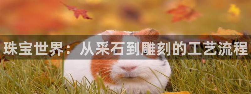 彩名堂4.3