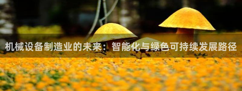 彩名堂免费计划官网50
