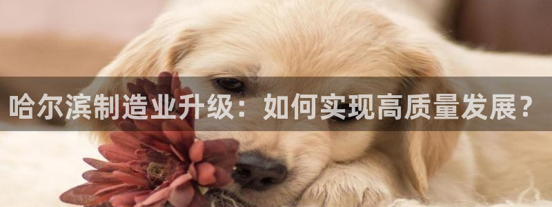 彩名堂为什么用不了了