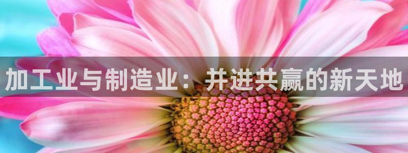 彩名堂不能用了吗