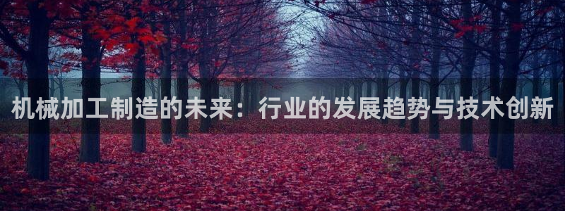 彩名堂计划怎么跟不挂