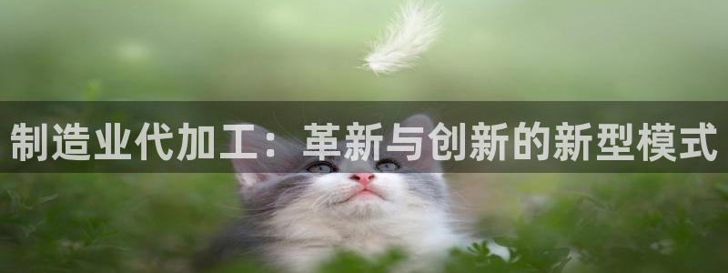 彩名堂官网在线计划