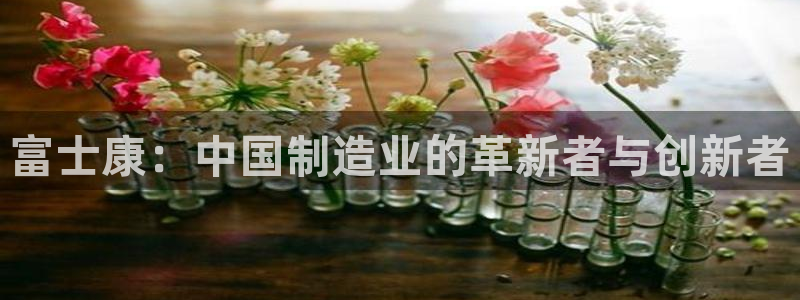 彩名堂计划最新版手机版