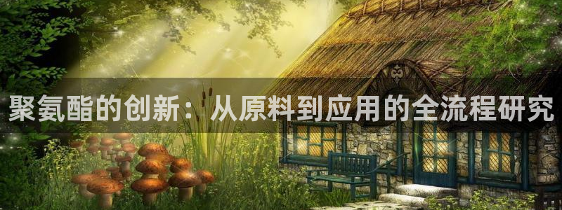 彩名堂怎么不能用了