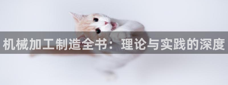彩名堂是什么