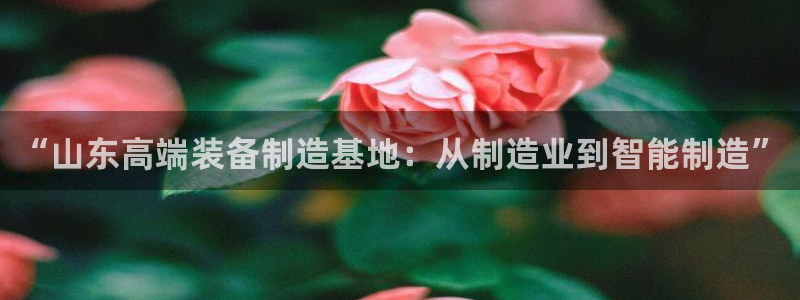彩名堂移动客户端