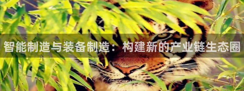 彩名堂app计划官方网站