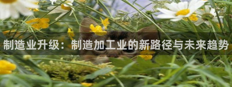 彩名堂手机客户端怎么进不去了