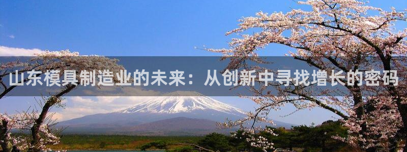 彩名堂预测网站