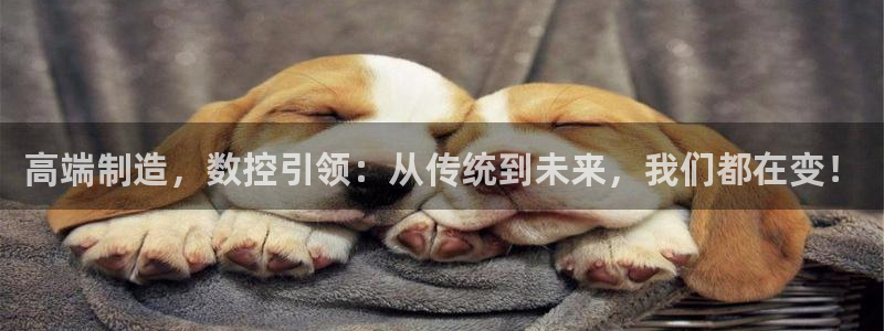 彩名堂免费计划官网怎么进不去了呢