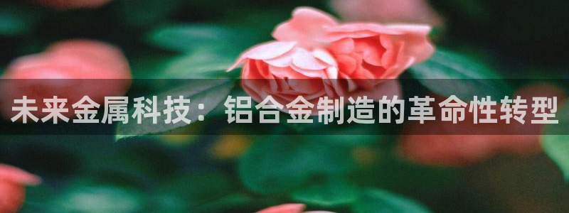 彩名堂计划技巧