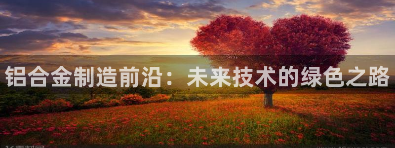 为什么彩名堂今天不能用