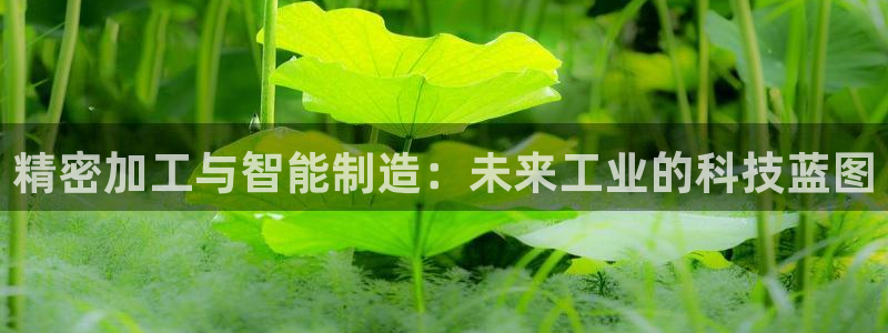 彩名堂拼音怎么拼