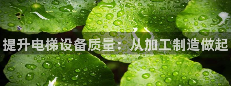 彩名堂移动客户端怎么下载