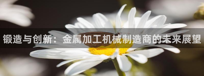 彩名堂移动客户端是什么