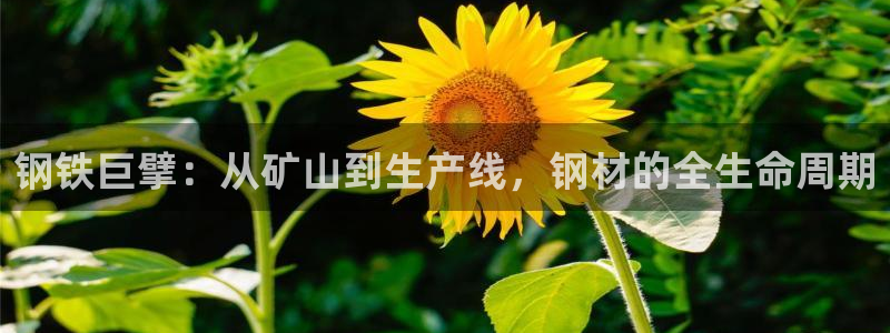 彩名堂预测软件