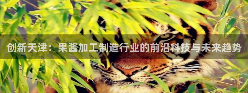 cmt彩名堂